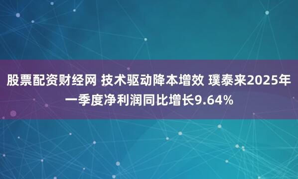 股票配资财经网 技术驱动降本增效 璞泰来2025年一季度净利润同比增长9.64%