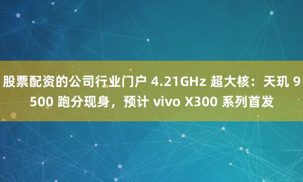 股票配资的公司行业门户 4.21GHz 超大核：天玑 9500 跑分现身，预计 vivo X300 系列首发