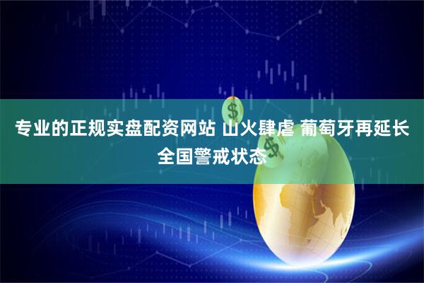 专业的正规实盘配资网站 山火肆虐 葡萄牙再延长全国警戒状态