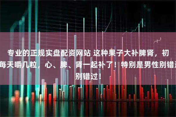 专业的正规实盘配资网站 这种果子大补脾肾，初秋每天嚼几粒，心、脾、肾一起补了！特别是男性别错过！