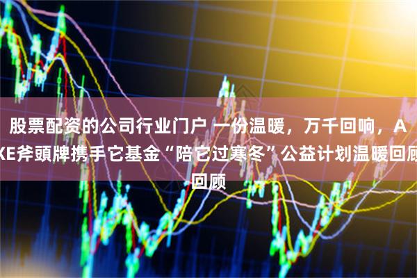 股票配资的公司行业门户 一份温暖，万千回响，AXE斧頭牌携手它基金“陪它过寒冬”公益计划温暖回顾